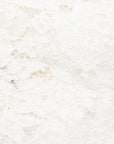 Dolce & Gabbana Sleeveless Lace Mini Dress