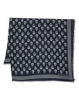 Alexander McQueen Scarfs Blue