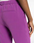 Alberto Biani Trousers Purple