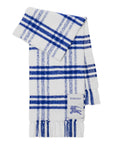 Burberry Scarfs Blue