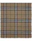 Burberry Scarfs Brown