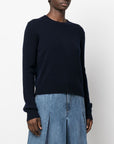 LISA YANG Sweaters Blue