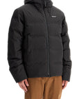 PATAGONIA "jackson glacier hooded down jacket