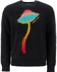 Casablanca rainbow mushroom sweater